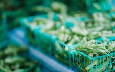 المنشور الاول