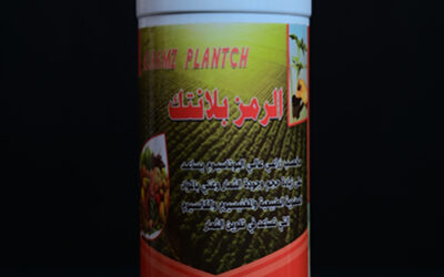 ALRAMZ PLANTCH