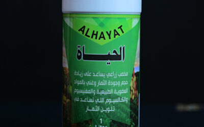 ALHAYAT