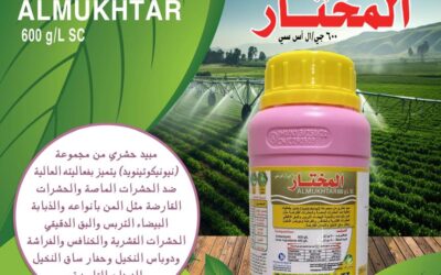 المختار 600 جي ال اس سي